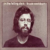 Artwork for In The Falling Dark by Bruce Cockburn