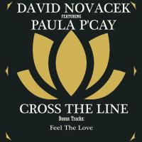 Artwork for Cross The Line by David Novacek