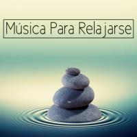 Artwork for Música Para Relajarse by Musica Relajante