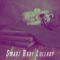 Artwork for Smart Baby Lullaby by Various Artists