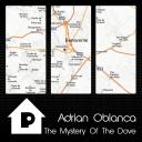 Artwork for Mystery of The Dove (Original Mix)