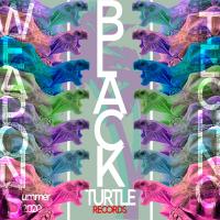 Artwork for Black Turtle Weapons Techno Summer 2020 by Dr. Ton