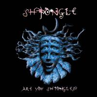 Artwork for Are You Shpongled? by Shpongle