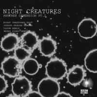 Artwork for Another Dimension, Pt. 2 by Night Creatures