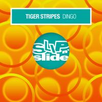 Artwork for Dingo by Tiger Stripes