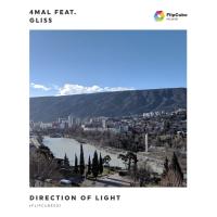 Artwork for Direction of Light by 4Mal