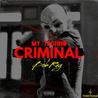 Artwork for My Techno Criminal by Bob Ray