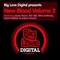 Artwork for Big Love Digital presents New Blood, Vol. 2 by Various Artists