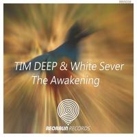 Artwork for The Awakening by Tim Deep