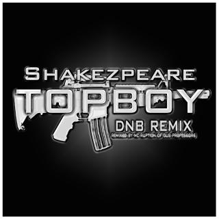 Artwork for TopBoy 