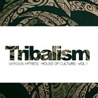 Artwork for Tribalism, Vol. 1: House Of Culture by Various Artists