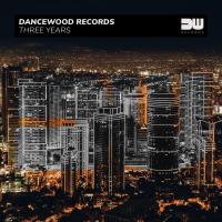 Artwork for Dancewood Records - Three Years by Various Artists