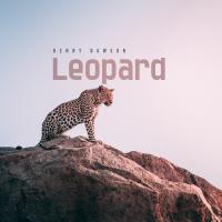 Artwork for Leopard by Benny Dawson