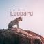 Artwork for leopard