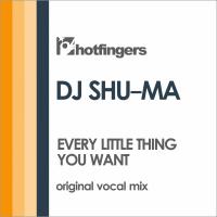 Artwork for Every Little Thing You Want by DJ Shu-Ma