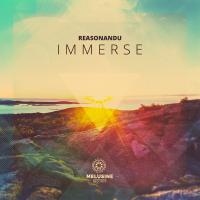 Artwork for Immerse by Reasonandu