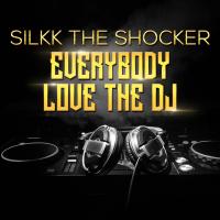 Artwork for Everybody Love the DJ by Silkk the Shocker