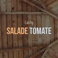 Artwork for Catchy (Daweird Mix) by Salade Tomate