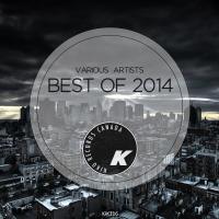 Artwork for Best Of Kiko Records 2014 by Various Artists