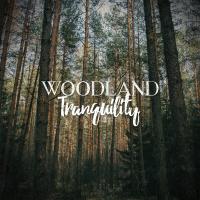 Artwork for Woodland Tranquility by Sounds of Nature Relaxation