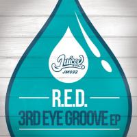 Artwork for 3rd Eye Groove EP by R.E.D.