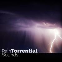 Artwork for Rain: Torrential Sounds by Rain Sounds Nature Collection