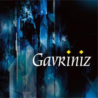 Artwork for Gavriniz by FRAGMENT Celtic Music