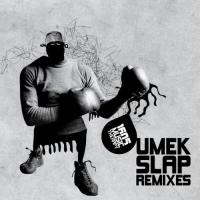 Artwork for Slap (Competition Remixes 2011) by UMEK