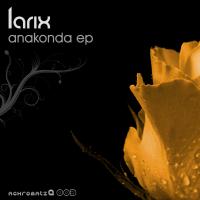 Artwork for Anakonda EP by Larix