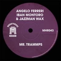 Artwork for Mr. Trammps by Angelo Ferreri