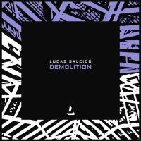 Artwork for Demolition by Lucas Salcido