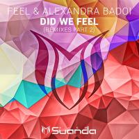 Artwork for Did We Feel (Remixes, Pt. 2) by feel