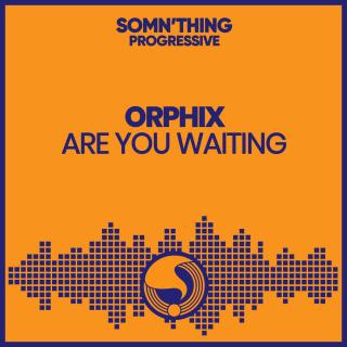Artwork for Are You Waiting
