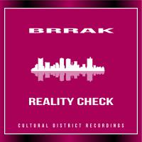 Artwork for Reality Check by Brrak