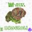 Artwork for Goldtoes Presents: Broccoli