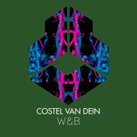 Artwork for W&B by Costel Van Dein