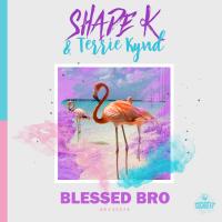 Artwork for BLESSED BRO by Shade K