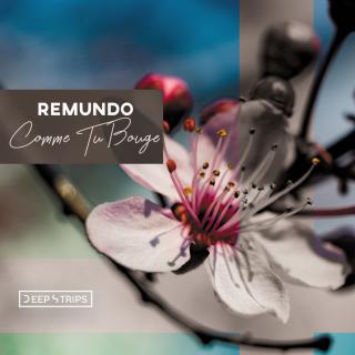 Artwork for Comme Tu Bouge (Original Mix)