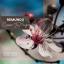 Artwork for Comme Tu Bouge (Original Mix)