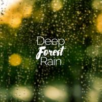 Artwork for Deep Forest Rain by Rainfall