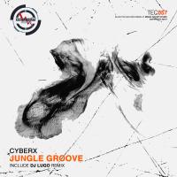 Artwork for Jungle Groove by Cyberx