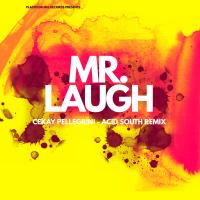 Artwork for Mr. Laugh (Essa Mulher) by Ck Pellegrini