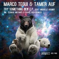 Artwork for Try Something New EP by Marco Tegui
