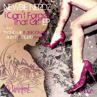 Artwork for I Can't Forget That Girl EP by Newbie Nerdz