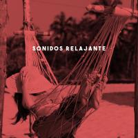 Artwork for Sonidos Relajante by Musica Relajante