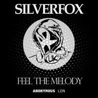 Artwork for Feel the Melody by Silverfox
