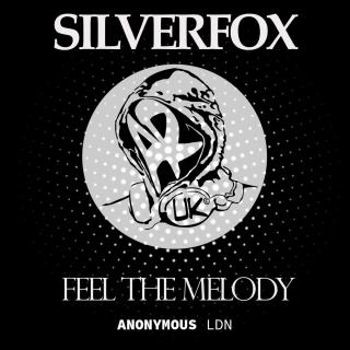 Artwork for Feel the Melody