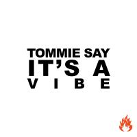 Artwork for Tommie Say It's A Vibe by Tommie Sunshine