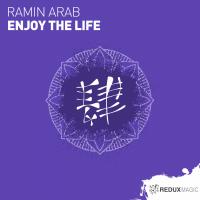 Artwork for Enjoy The Life by Ramin Arab