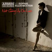 Artwork for Not Giving Up On Love by Armin van Buuren